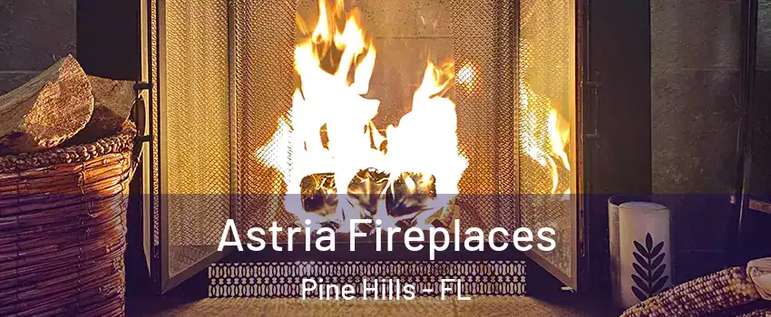  Astria Fireplaces Pine Hills - FL