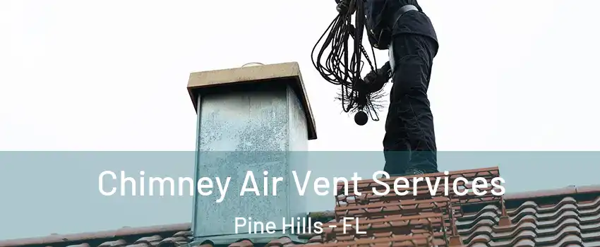  Chimney Air Vent Services Pine Hills - FL