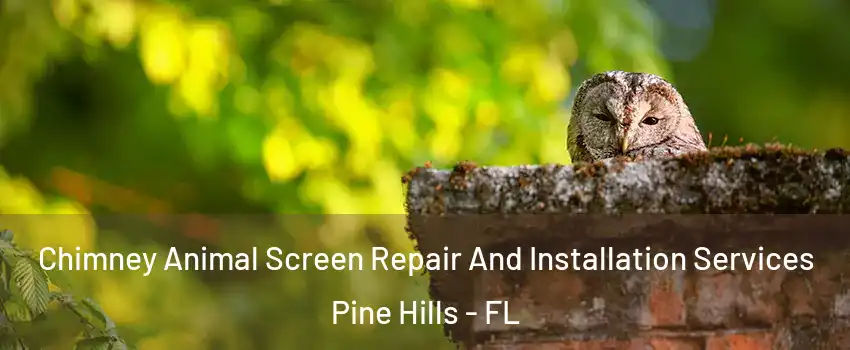  Chimney Animal Screen Repair And Installation Services Pine Hills - FL