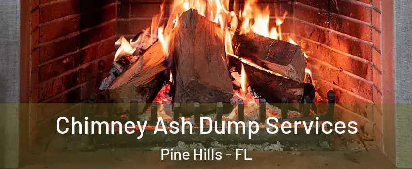  Chimney Ash Dump Services Pine Hills - FL