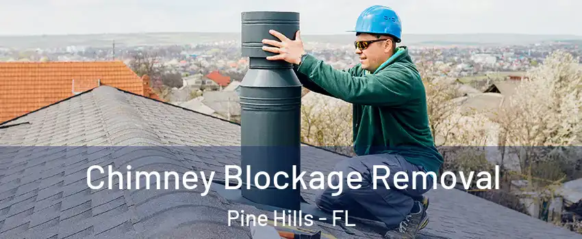  Chimney Blockage Removal Pine Hills - FL