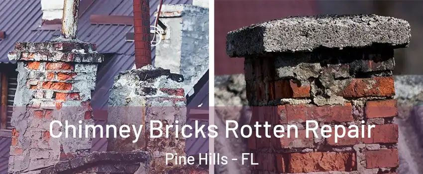  Chimney Bricks Rotten Repair Pine Hills - FL