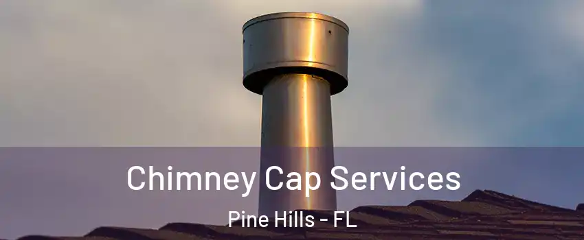  Chimney Cap Services Pine Hills - FL