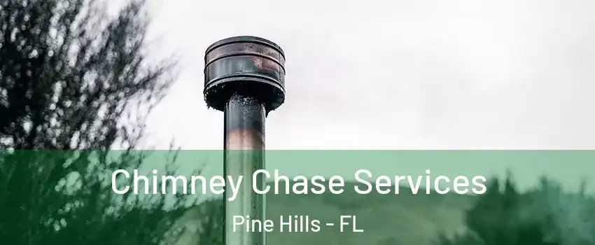  Chimney Chase Services Pine Hills - FL