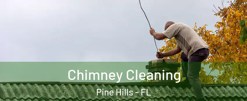  Chimney Cleaning Pine Hills - FL
