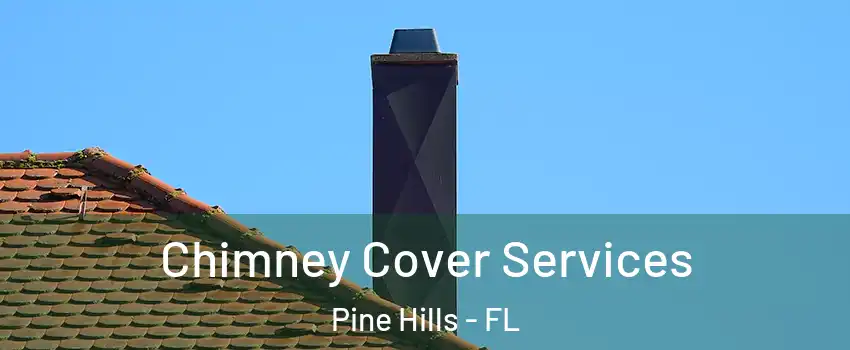  Chimney Cover Services Pine Hills - FL