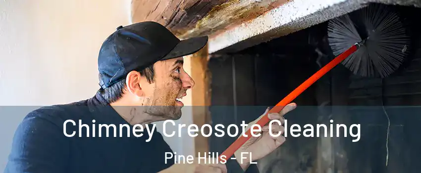  Chimney Creosote Cleaning Pine Hills - FL