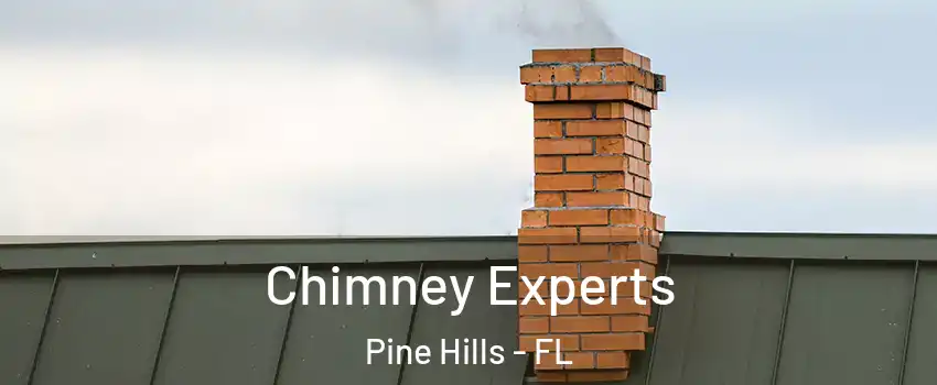 Chimney Experts Pine Hills - FL