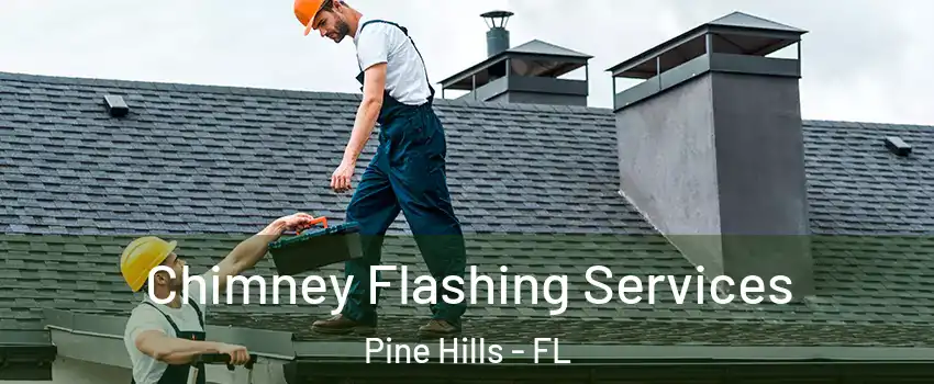 Chimney Flashing Services Pine Hills - FL