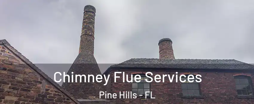  Chimney Flue Services Pine Hills - FL