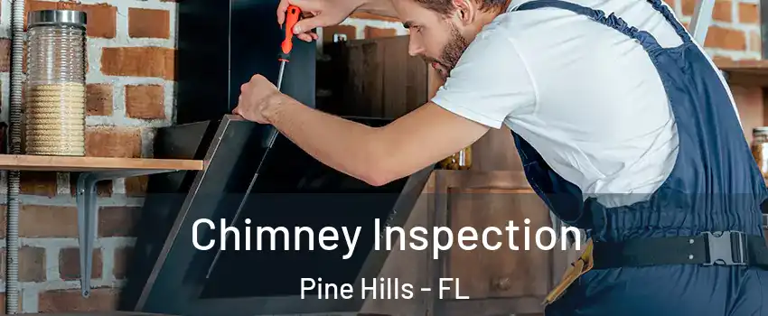  Chimney Inspection Pine Hills - FL
