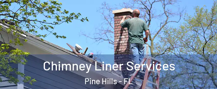  Chimney Liner Services Pine Hills - FL