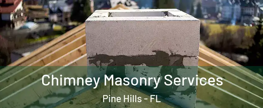  Chimney Masonry Services Pine Hills - FL
