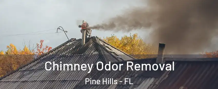  Chimney Odor Removal Pine Hills - FL
