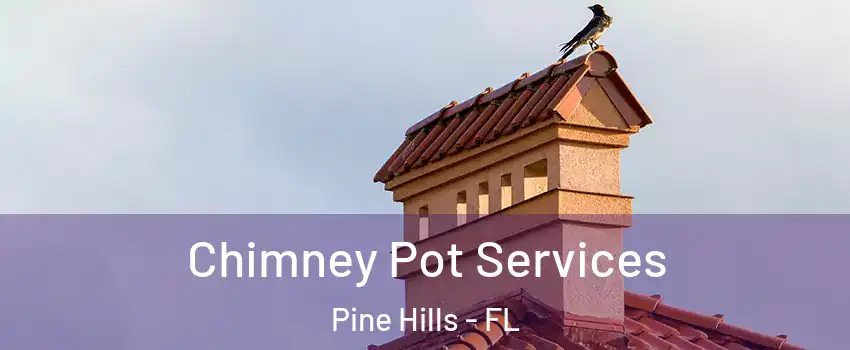  Chimney Pot Services Pine Hills - FL