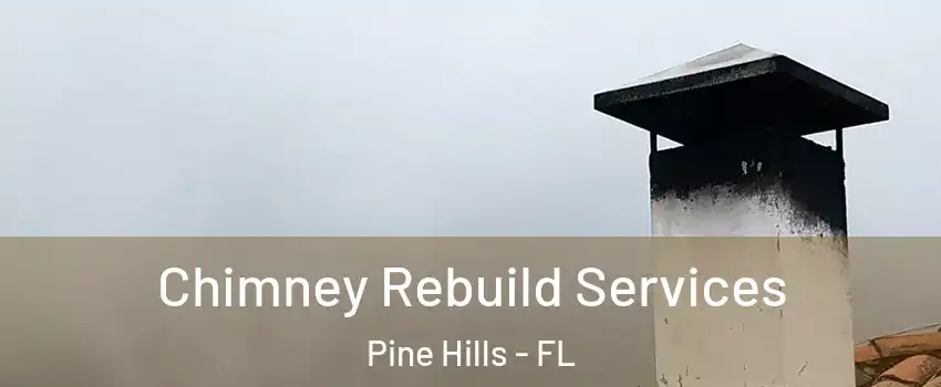  Chimney Rebuild Services Pine Hills - FL