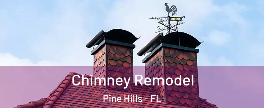  Chimney Remodel Pine Hills - FL