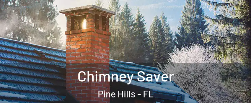  Chimney Saver Pine Hills - FL