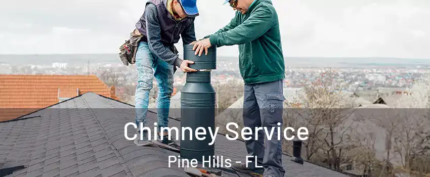  Chimney Service Pine Hills - FL