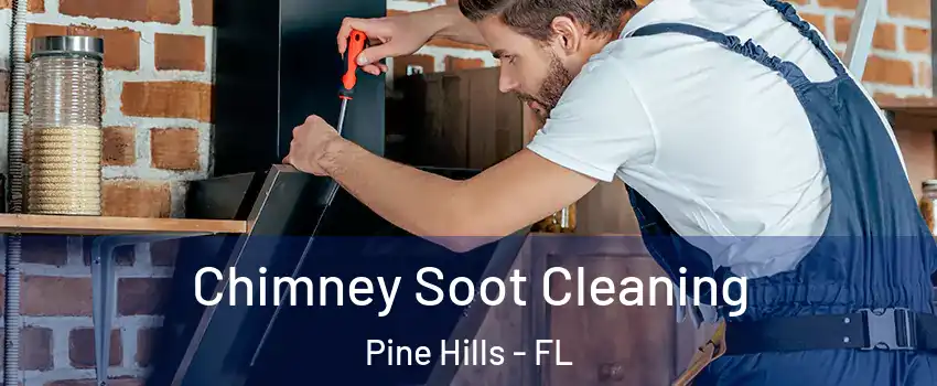  Chimney Soot Cleaning Pine Hills - FL