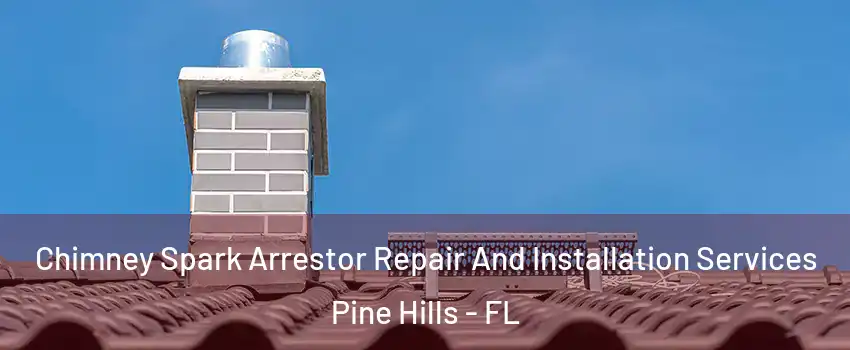  Chimney Spark Arrestor Repair And Installation Services Pine Hills - FL