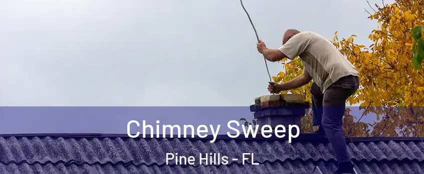  Chimney Sweep Pine Hills - FL