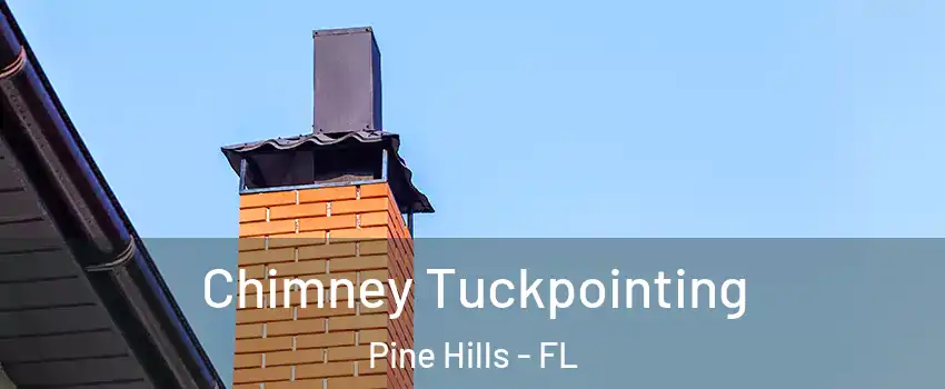  Chimney Tuckpointing Pine Hills - FL