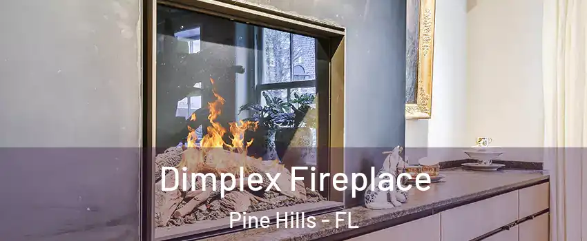  Dimplex Fireplace Pine Hills - FL