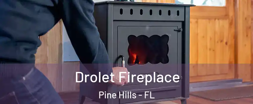  Drolet Fireplace Pine Hills - FL
