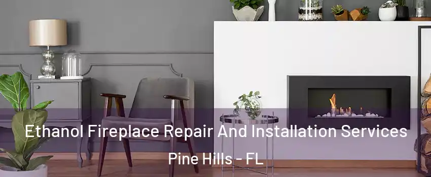  Ethanol Fireplace Repair And Installation Services Pine Hills - FL