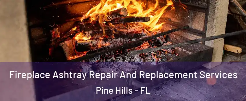  Fireplace Ashtray Repair And Replacement Services Pine Hills - FL