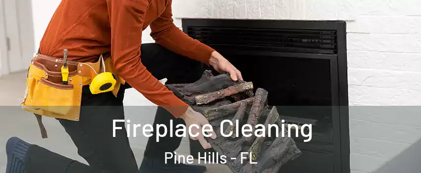  Fireplace Cleaning Pine Hills - FL