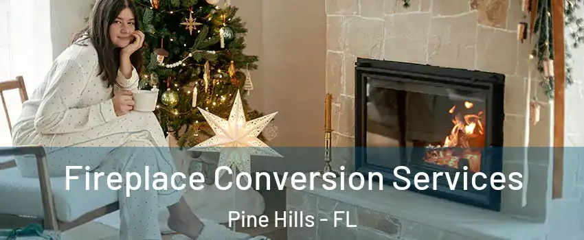  Fireplace Conversion Services Pine Hills - FL