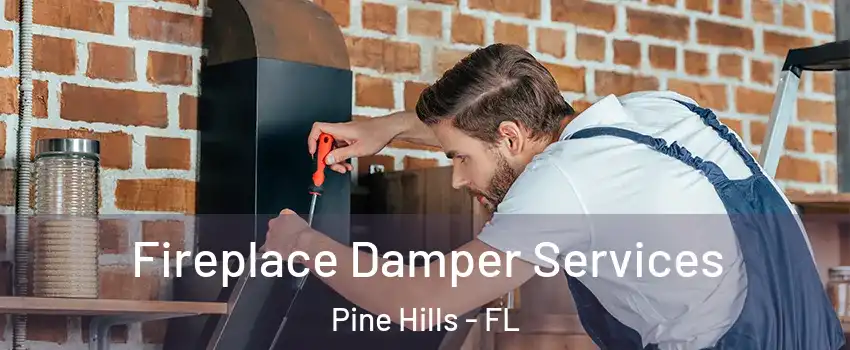  Fireplace Damper Services Pine Hills - FL