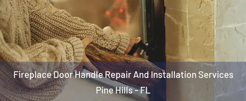  Fireplace Door Handle Repair And Installation Services Pine Hills - FL