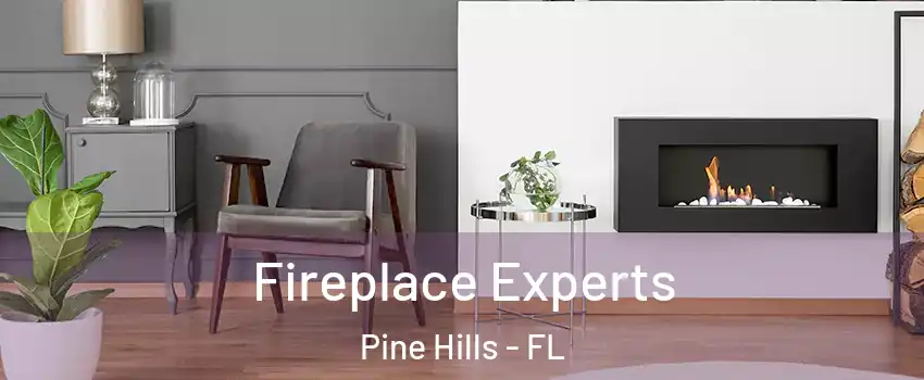  Fireplace Experts Pine Hills - FL