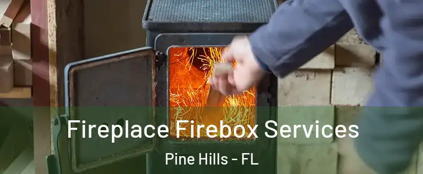  Fireplace Firebox Services Pine Hills - FL