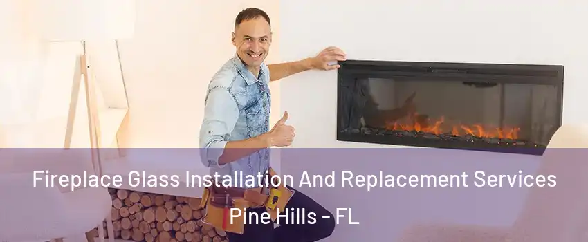  Fireplace Glass Installation And Replacement Services Pine Hills - FL