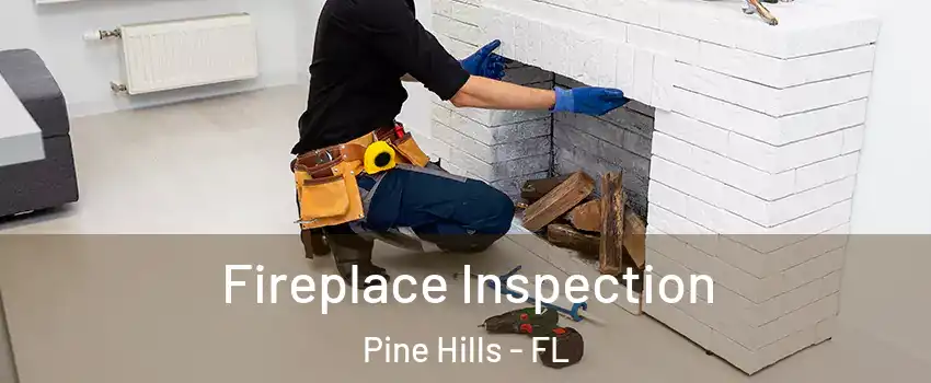  Fireplace Inspection Pine Hills - FL