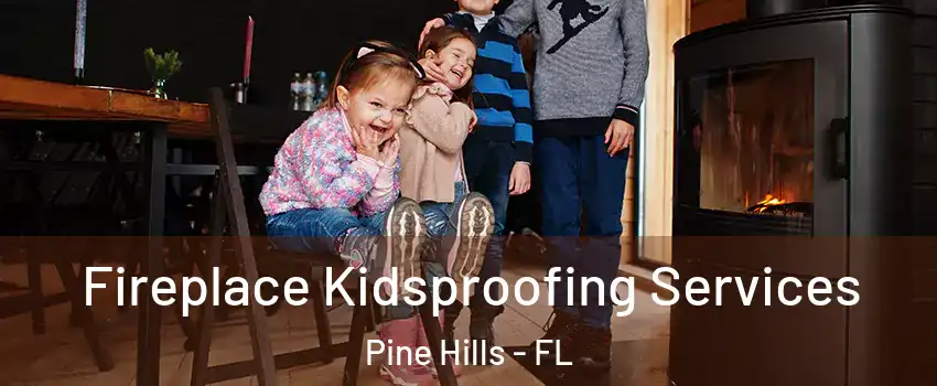  Fireplace Kidsproofing Services Pine Hills - FL
