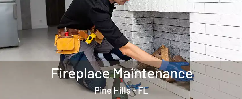  Fireplace Maintenance Pine Hills - FL