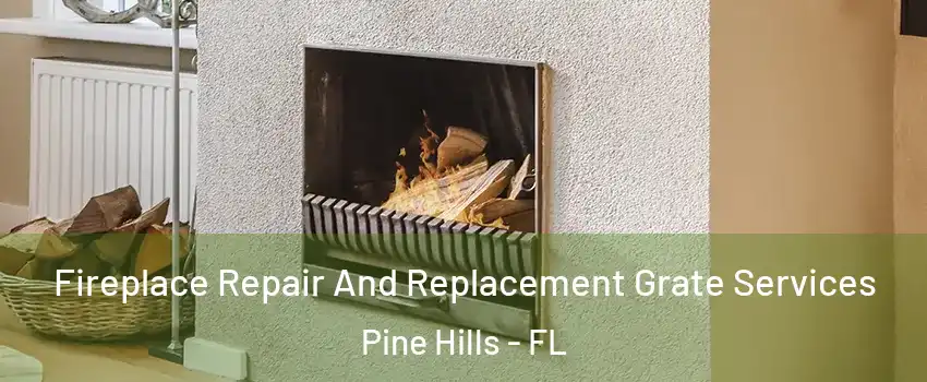  Fireplace Repair And Replacement Grate Services Pine Hills - FL