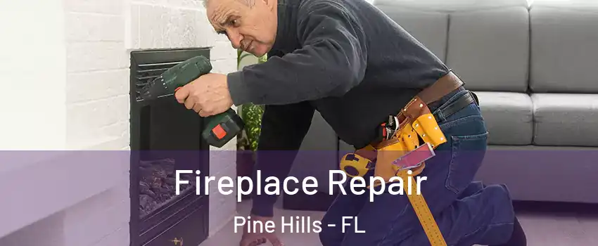  Fireplace Repair Pine Hills - FL