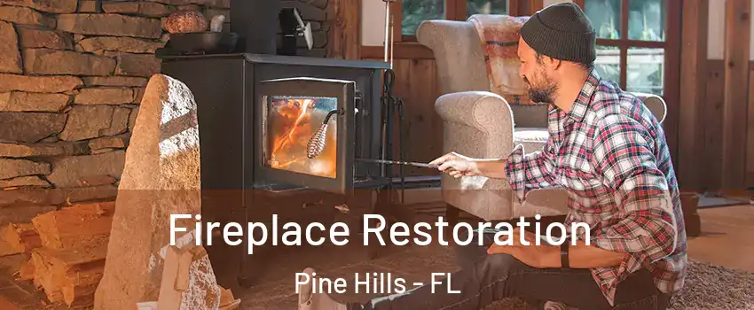  Fireplace Restoration Pine Hills - FL