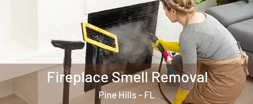  Fireplace Smell Removal Pine Hills - FL
