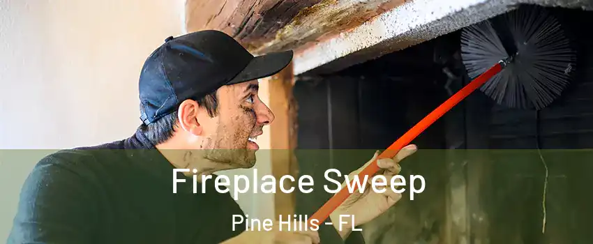  Fireplace Sweep Pine Hills - FL