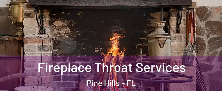  Fireplace Throat Services Pine Hills - FL
