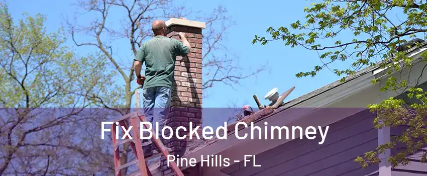  Fix Blocked Chimney Pine Hills - FL