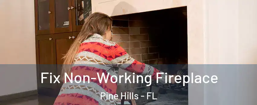  Fix Non-Working Fireplace Pine Hills - FL