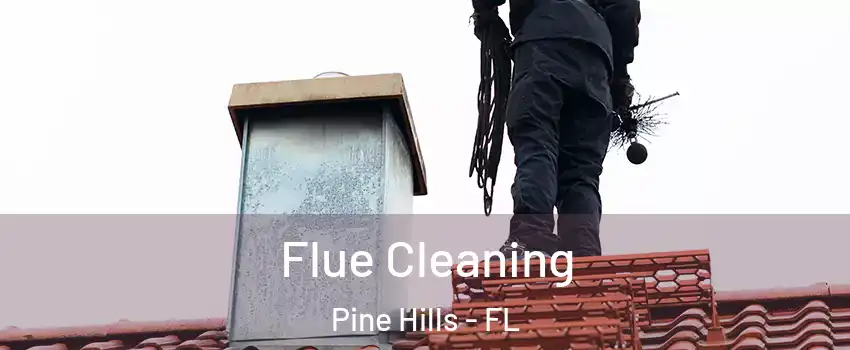  Flue Cleaning Pine Hills - FL